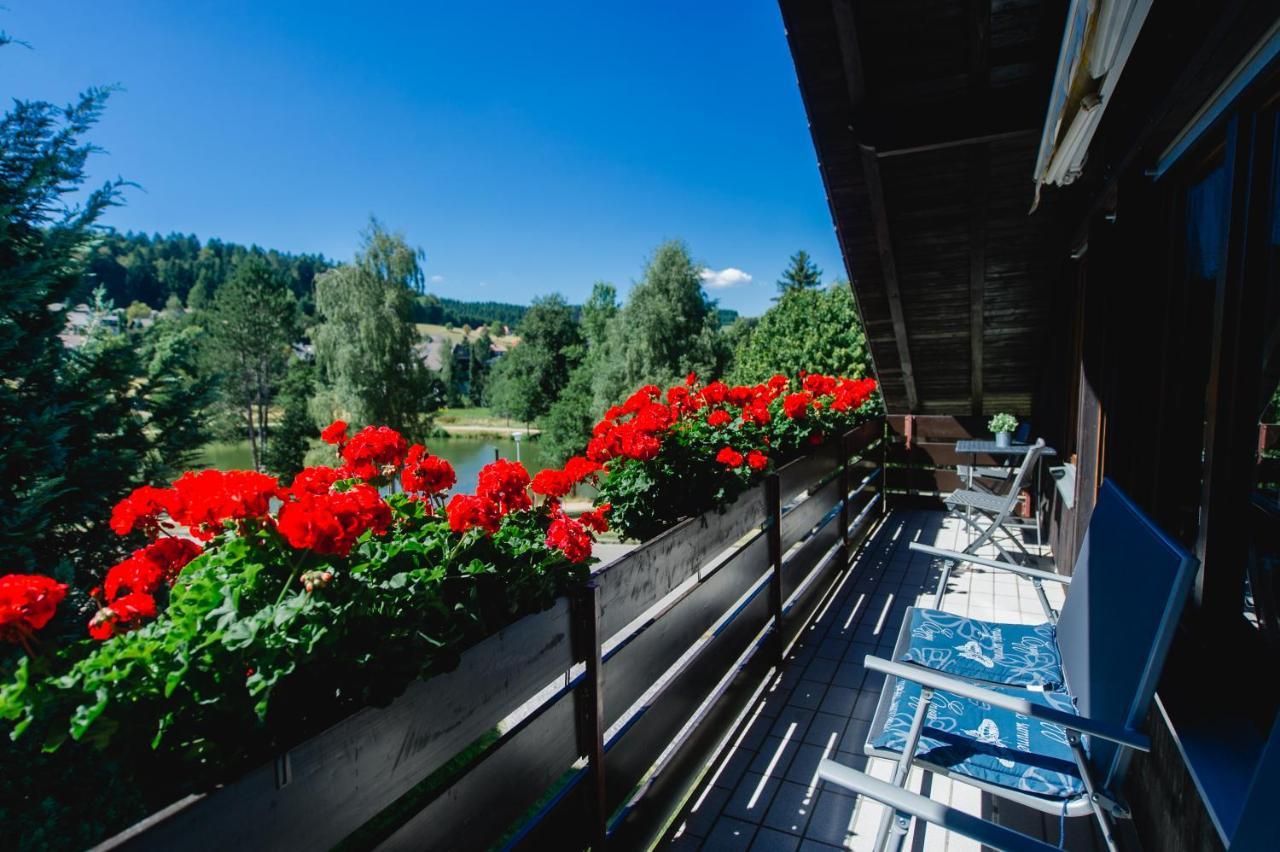 Ferienwohnungen Am Skilift Herrischried Экстерьер фото