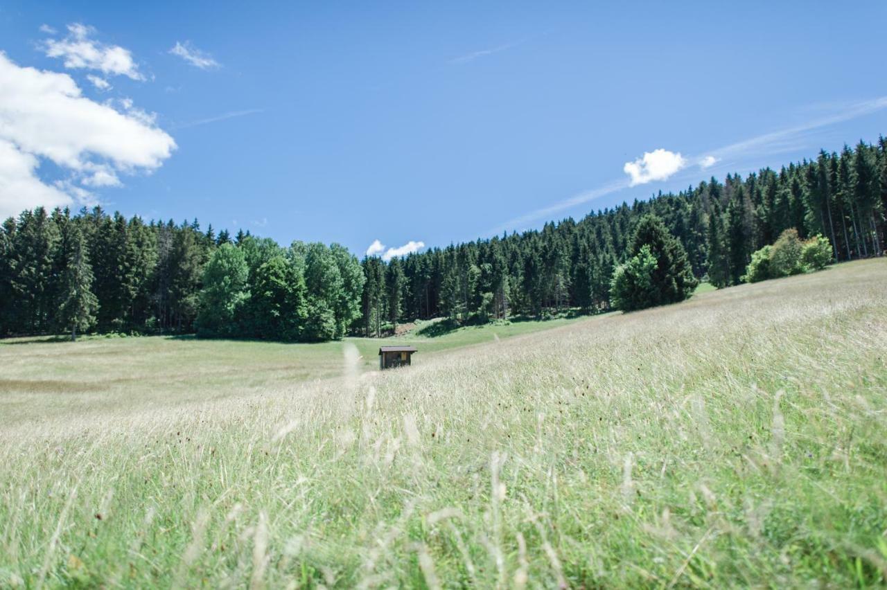 Ferienwohnungen Am Skilift Herrischried Экстерьер фото