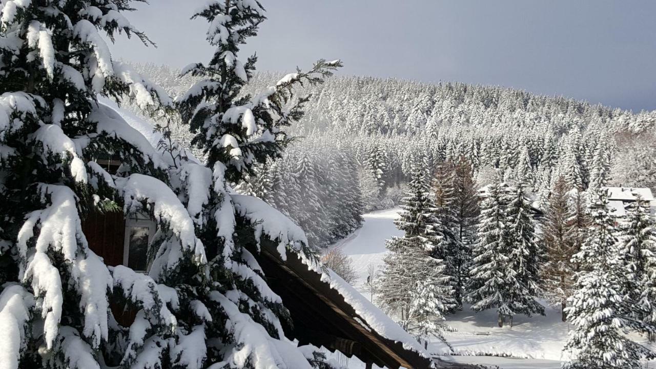 Ferienwohnungen Am Skilift Herrischried Экстерьер фото